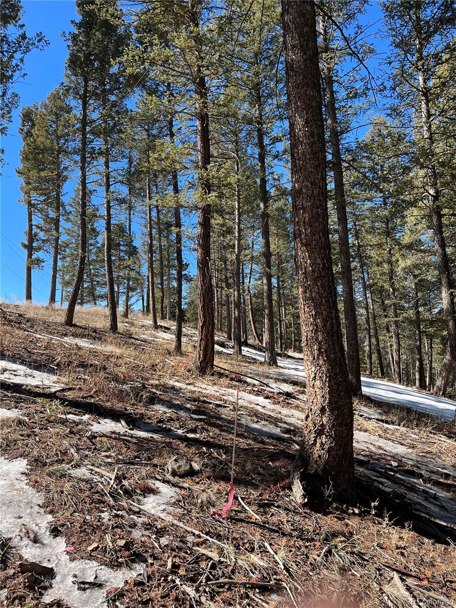 7871 Gold Rush Morrison CO 80465