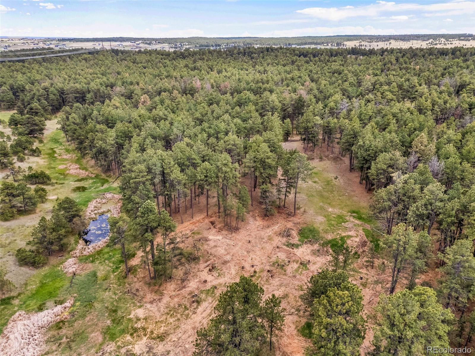 10655 Hardy Road Colorado Springs CO 80908