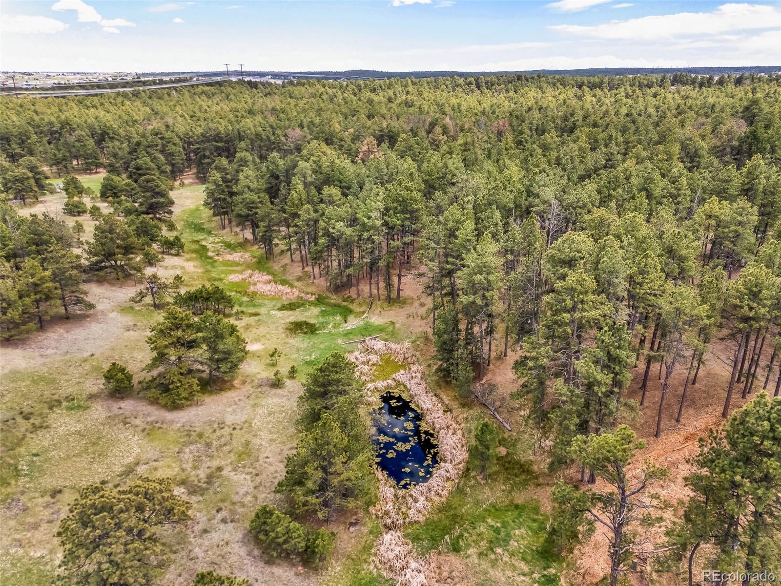 10655 Hardy Road Colorado Springs CO 80908