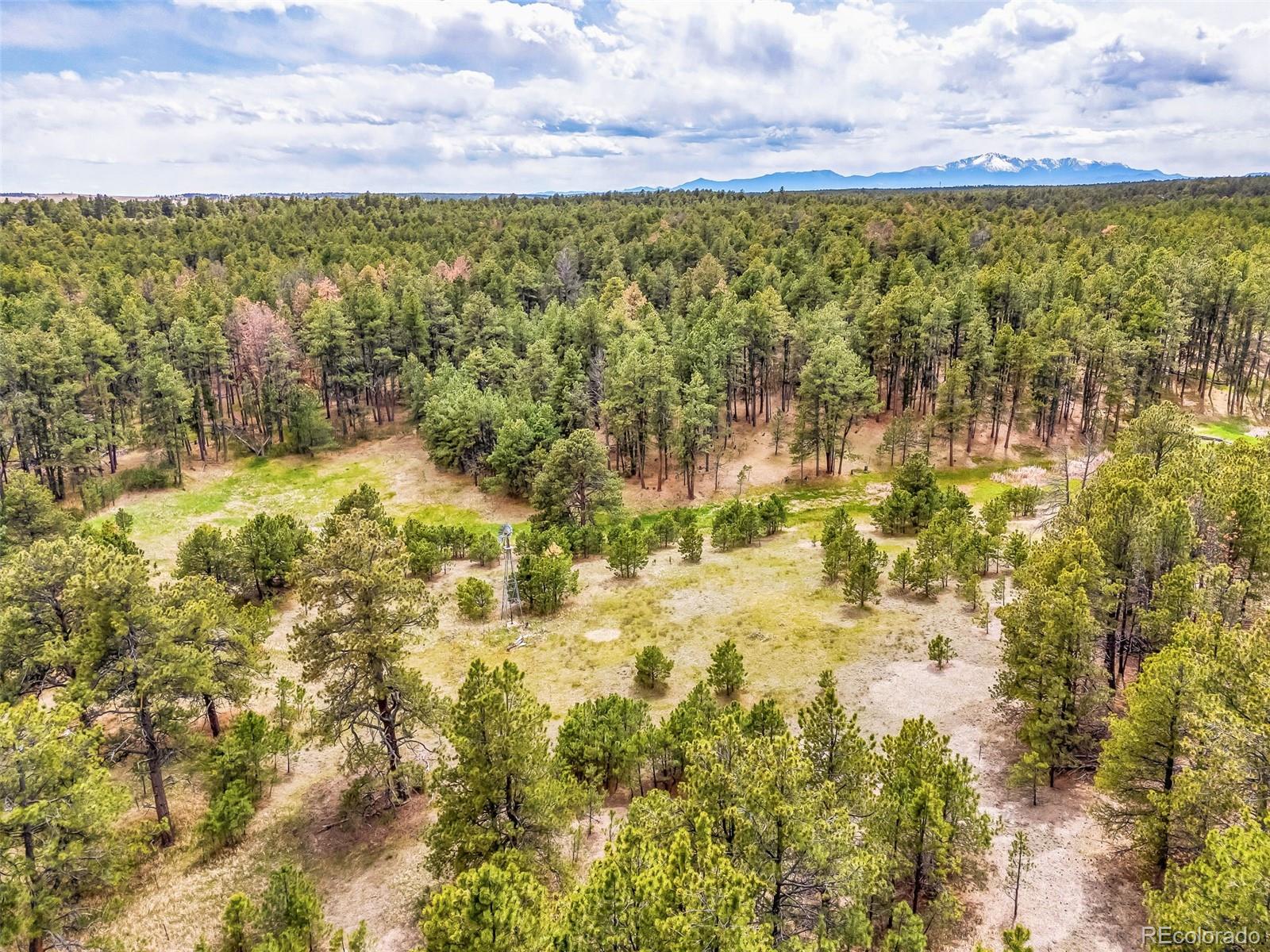 10655 Hardy Road Colorado Springs CO 80908