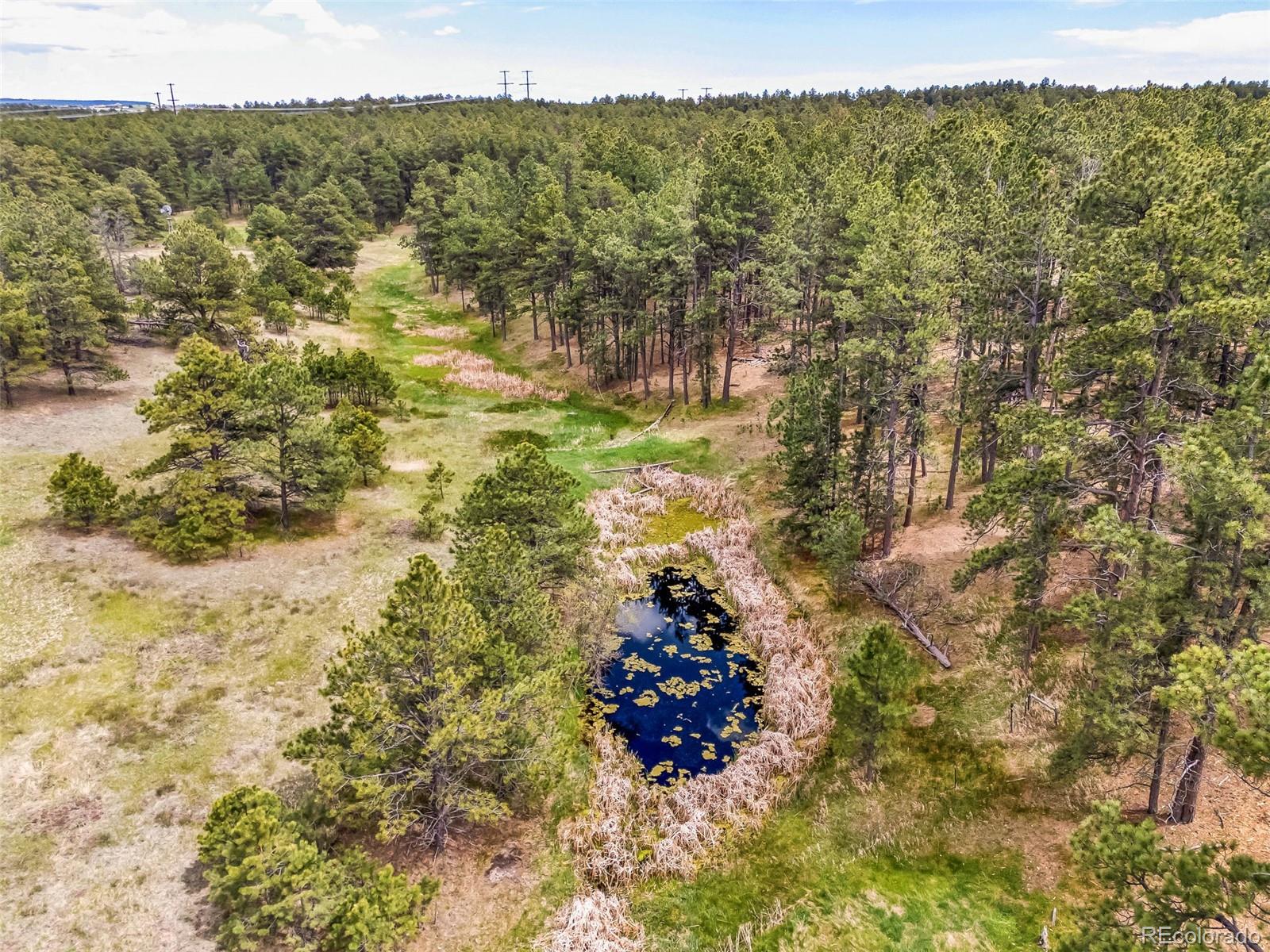10655 Hardy Road Colorado Springs CO 80908