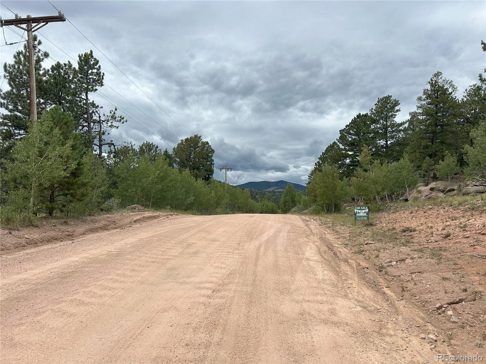 155 County Road 403 Florissant CO 80816