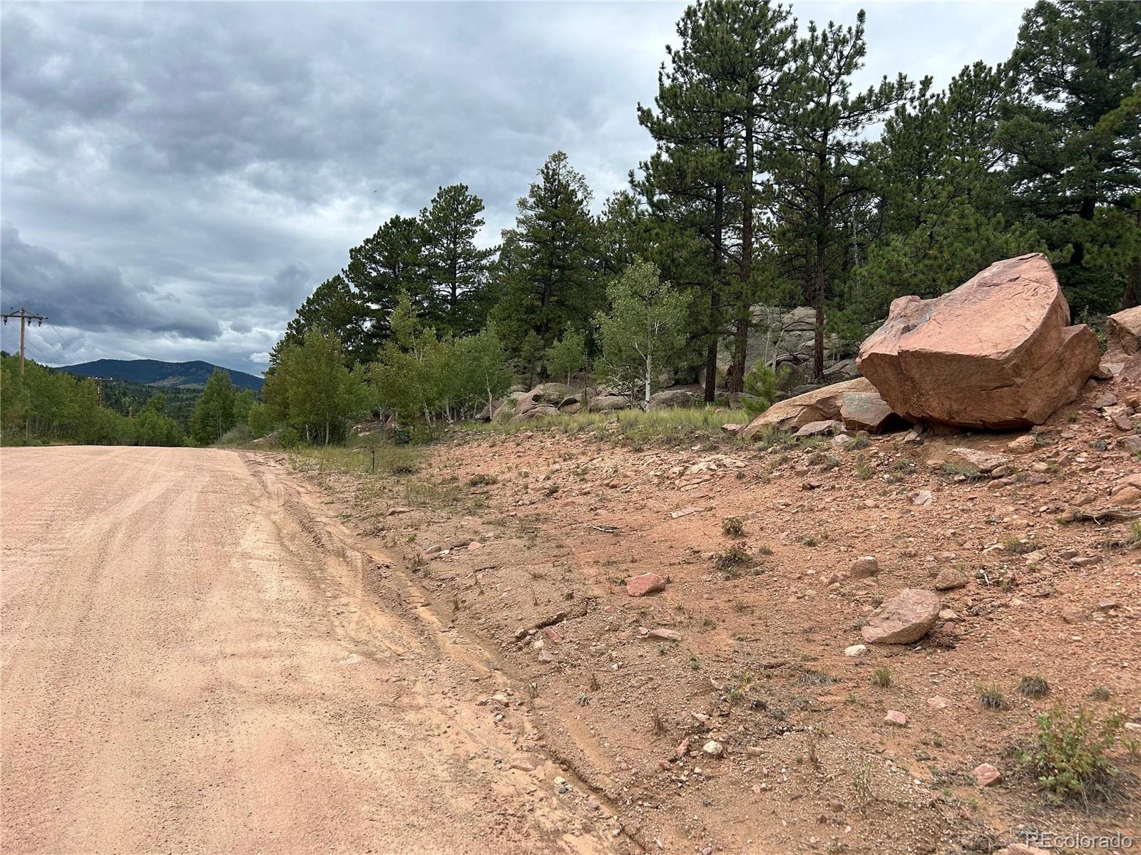 155 County Road 403 Florissant CO 80816