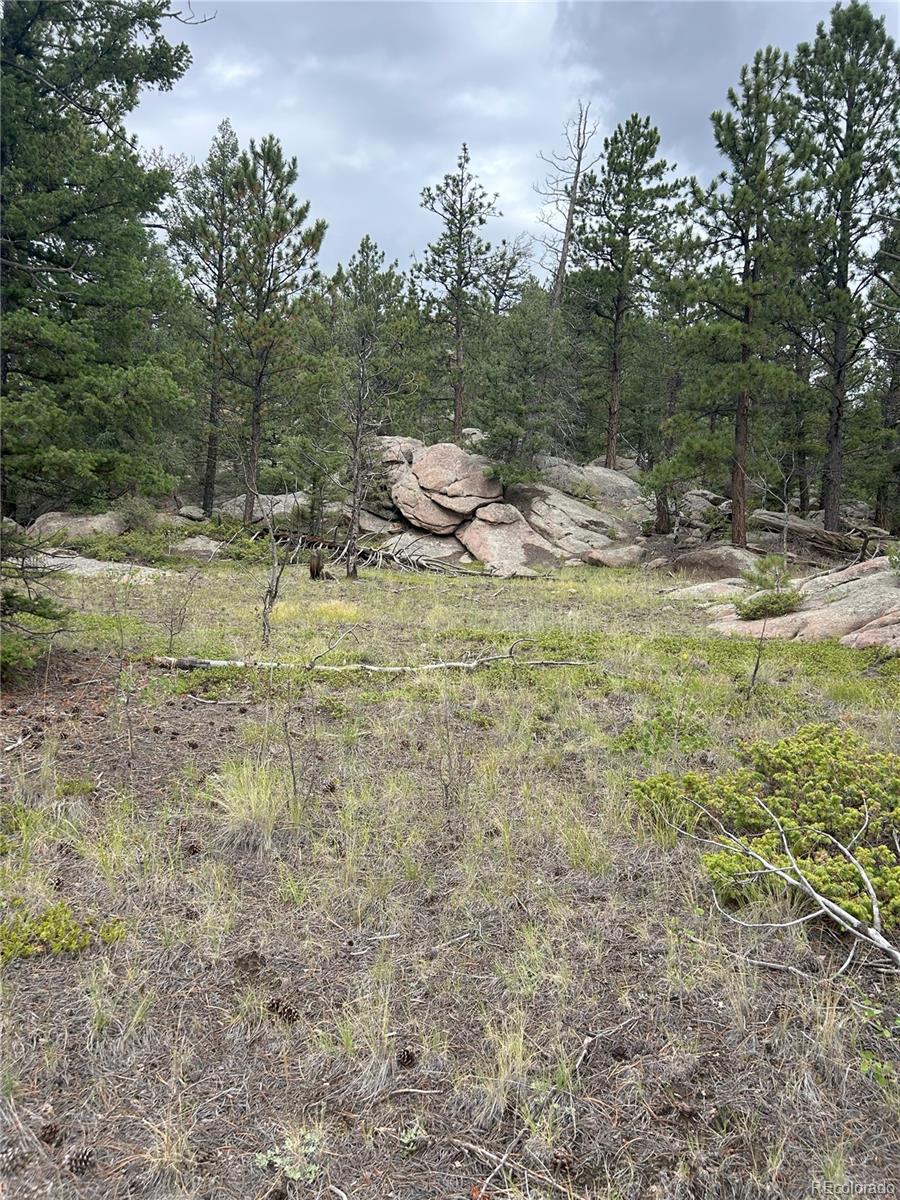 155 County Road 403 Florissant CO 80816