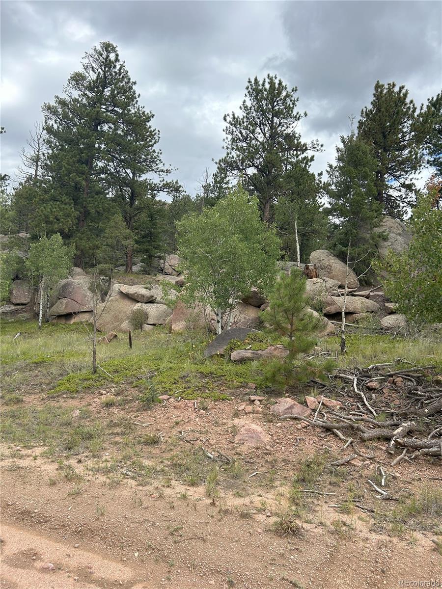 155 County Road 403 Florissant CO 80816
