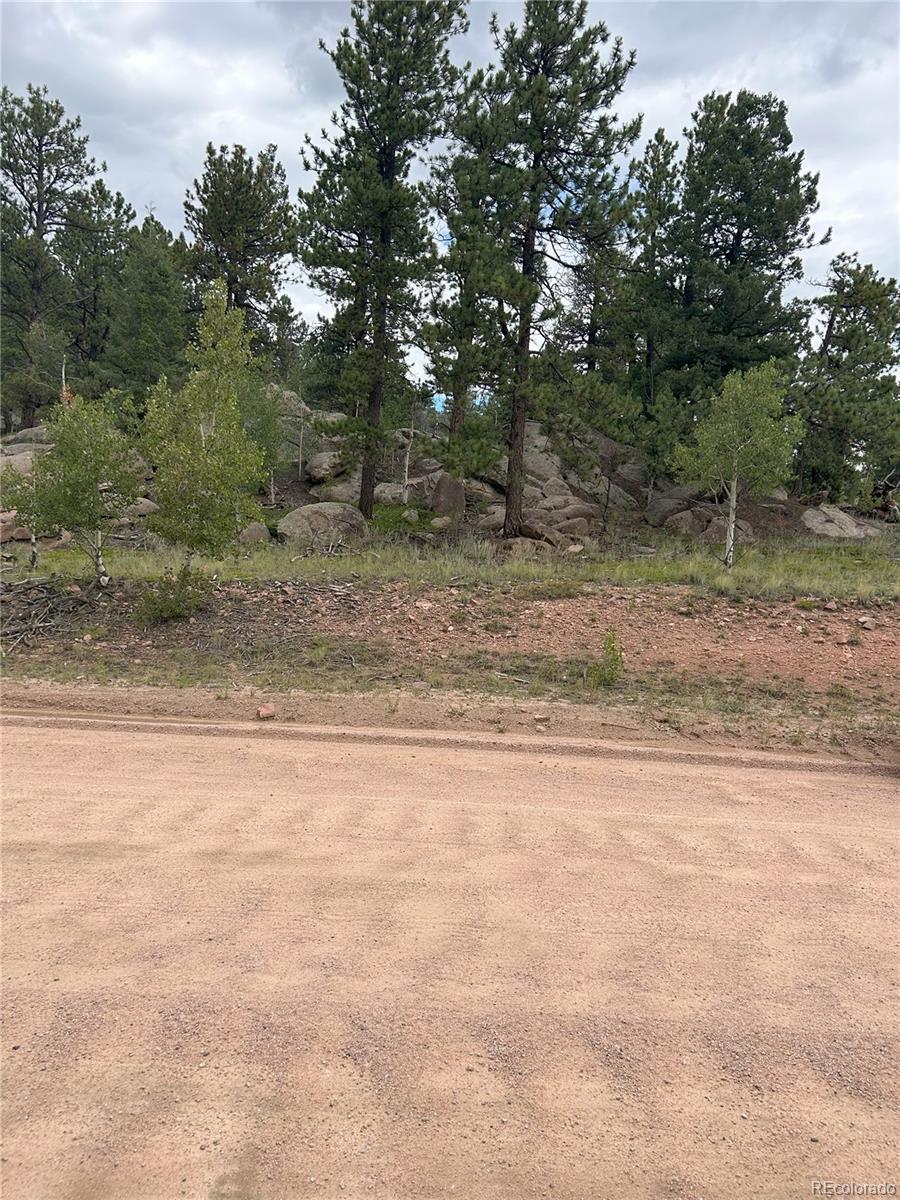 155 County Road 403 Florissant CO 80816
