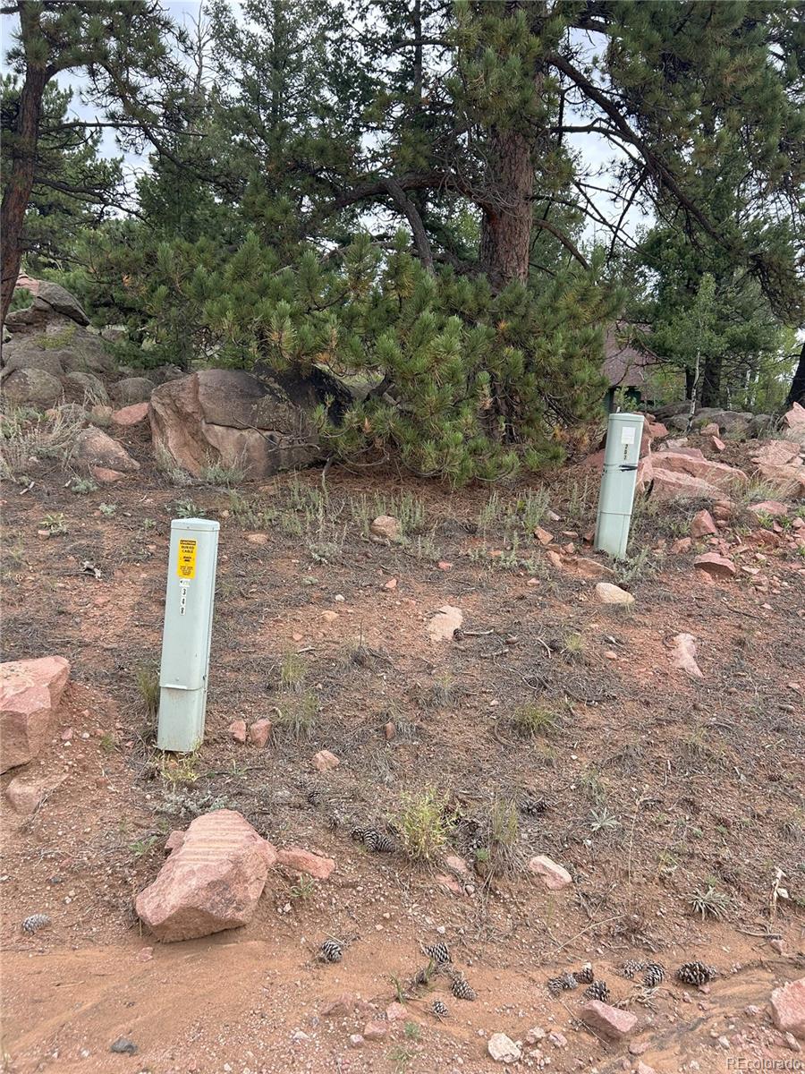 155 County Road 403 Florissant CO 80816