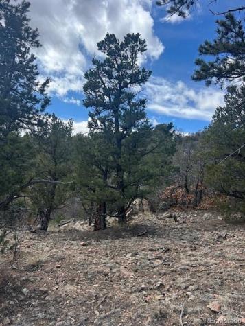 143 Ive Place Cotopaxi CO 81223