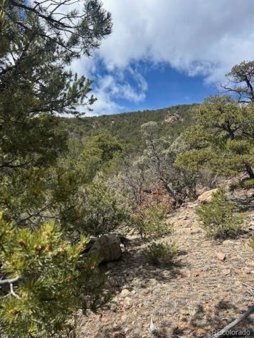 143 Ive Place Cotopaxi CO 81223