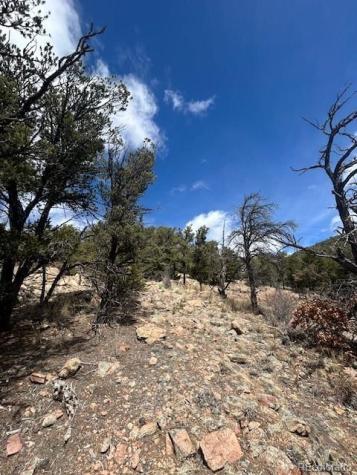 143 Ive Place Cotopaxi CO 81223