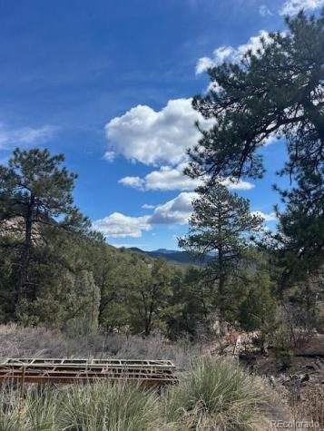 143 Ive Place Cotopaxi CO 81223