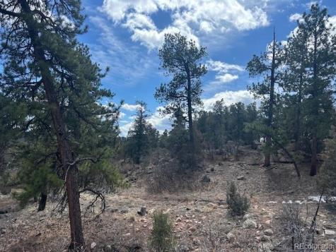 143 Ive Place Cotopaxi CO 81223