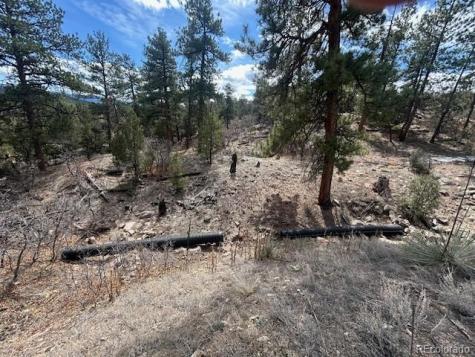 143 Ive Place Cotopaxi CO 81223