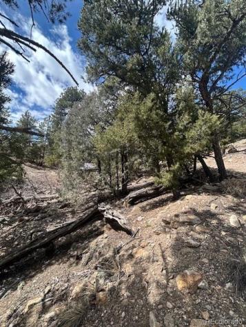 143 Ive Place Cotopaxi CO 81223