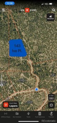 143 Ive Place Cotopaxi CO 81223