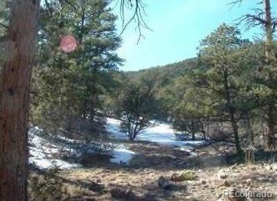 143 Ive Place Cotopaxi CO 81223