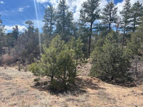 143 Ive Place Cotopaxi CO 81223