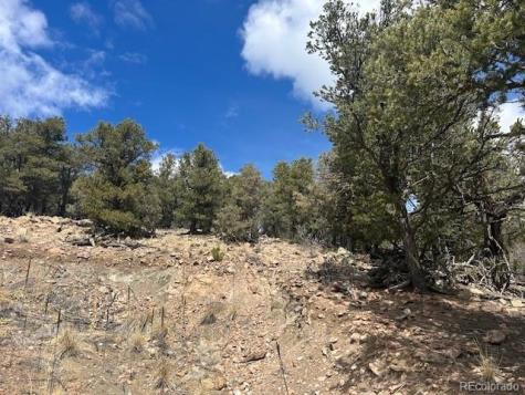 143 Ive Place Cotopaxi CO 81223