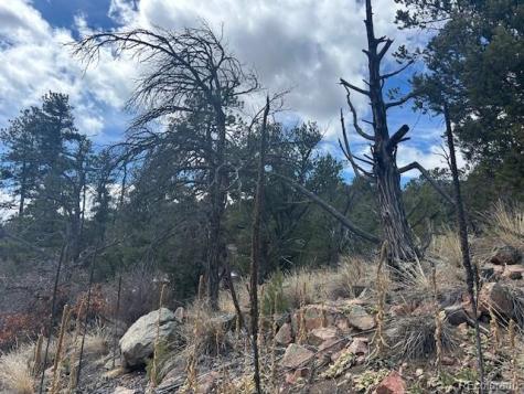 143 Ive Place Cotopaxi CO 81223