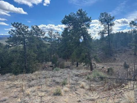 143 Ive Place Cotopaxi CO 81223