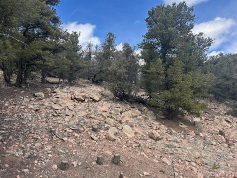 143 Ive Place Cotopaxi CO 81223