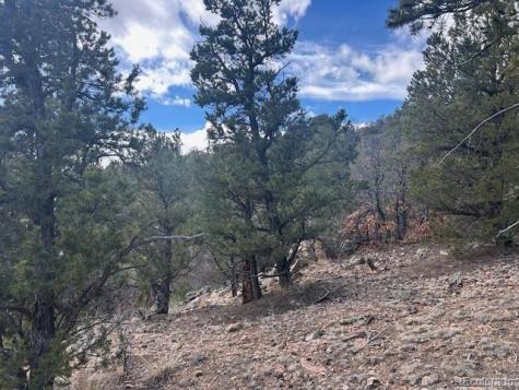 143 Ive Place Cotopaxi CO 81223