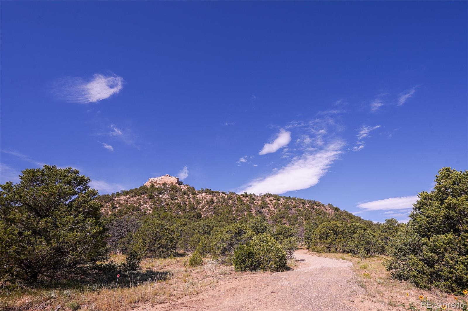 32637 County Road 53.7 Aguilar CO 81020
