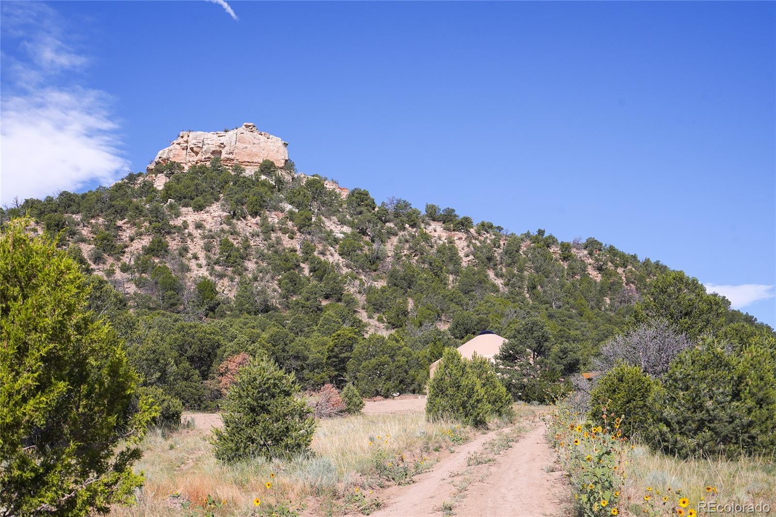 32637 County Road 53.7 Aguilar CO 81020