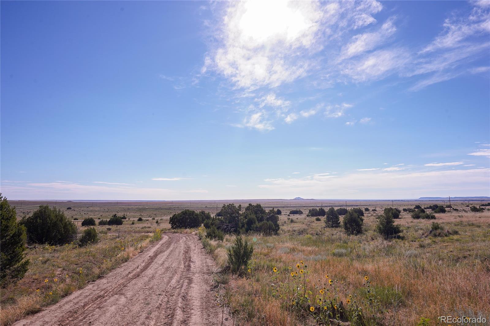 32637 County Road 53.7 Aguilar CO 81020