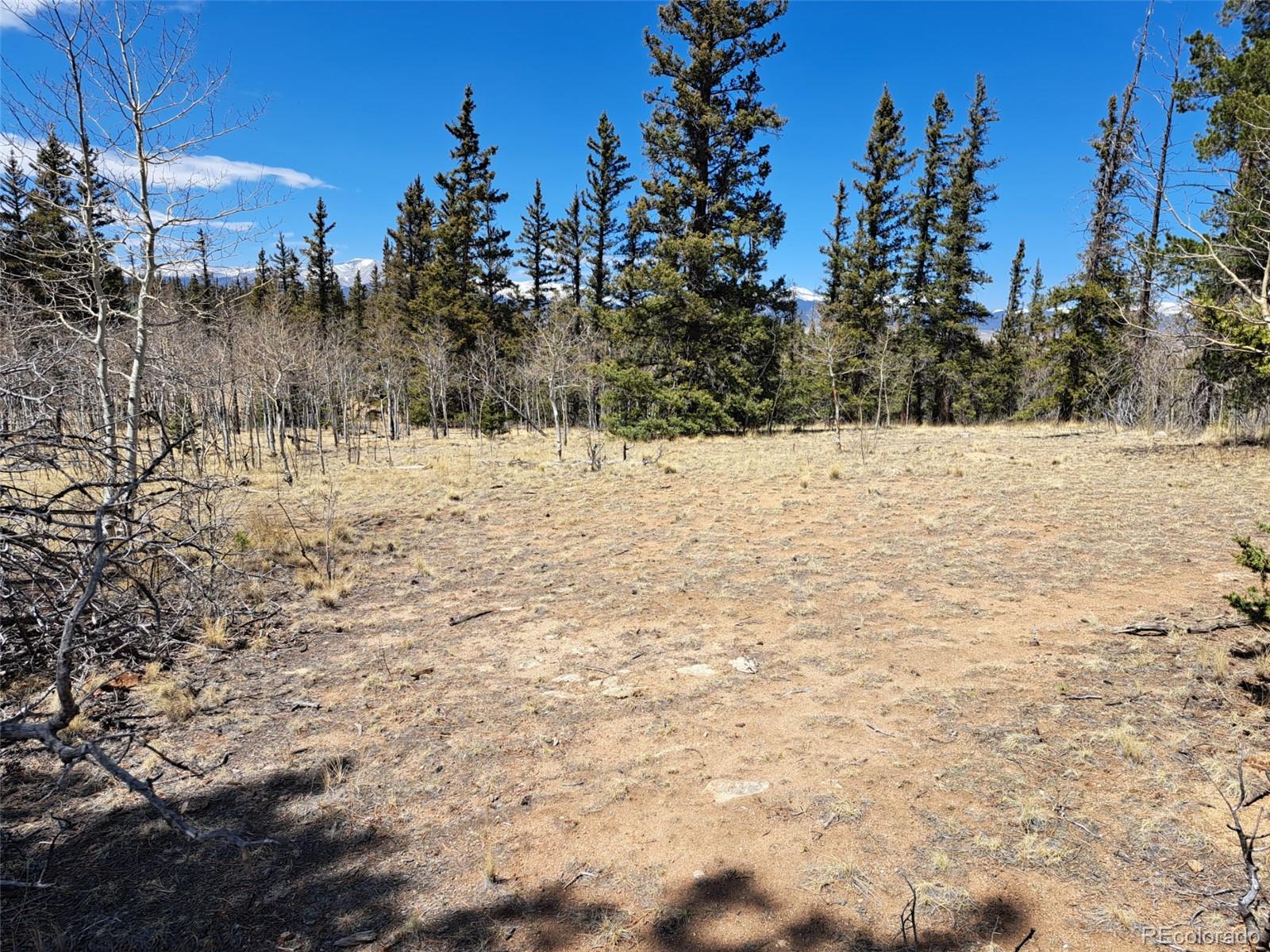 782 Tepee Trail Como CO 80432