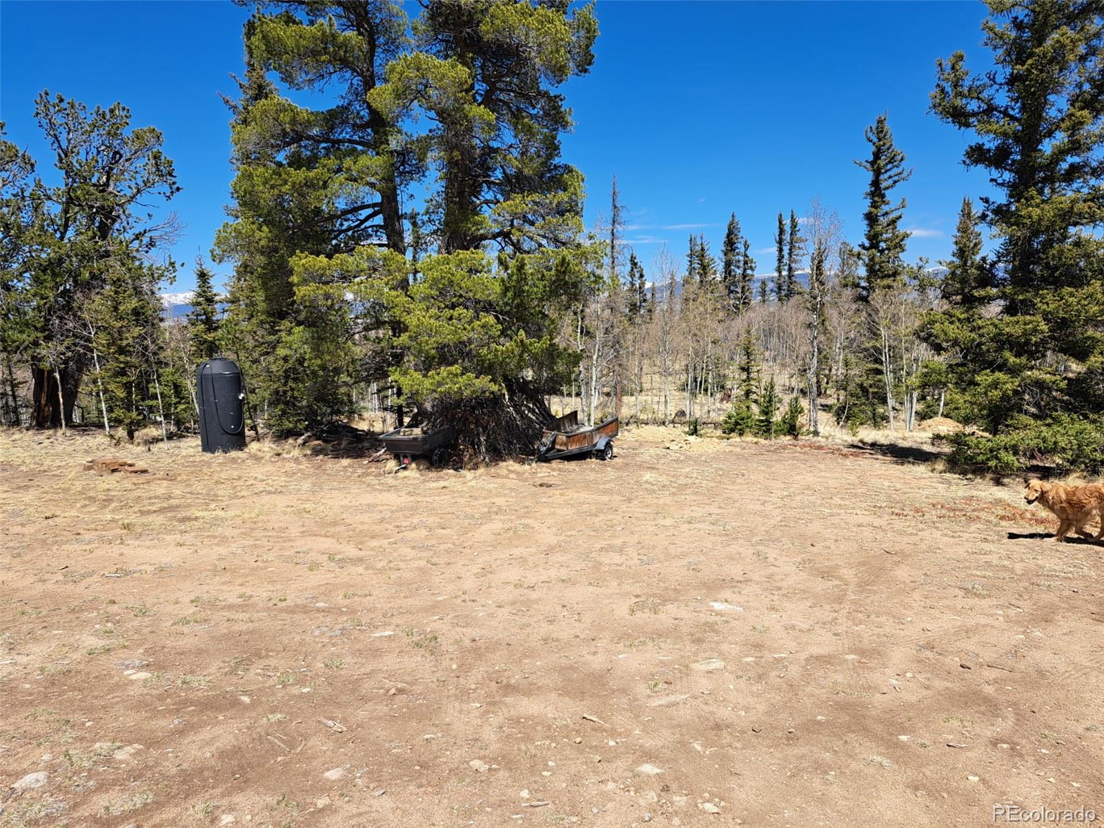 782 Tepee Trail Como CO 80432