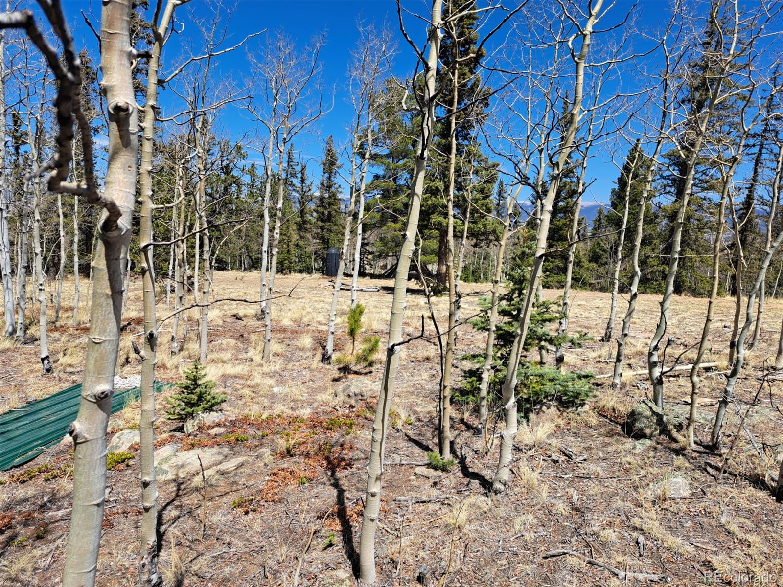 782 Tepee Trail Como CO 80432