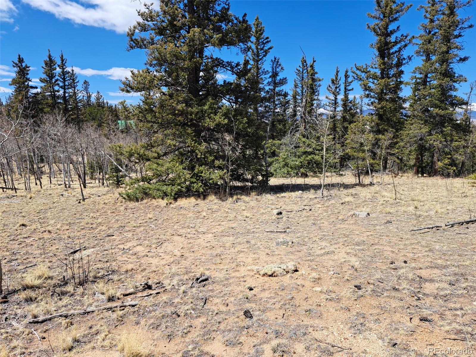 782 Tepee Trail Como CO 80432