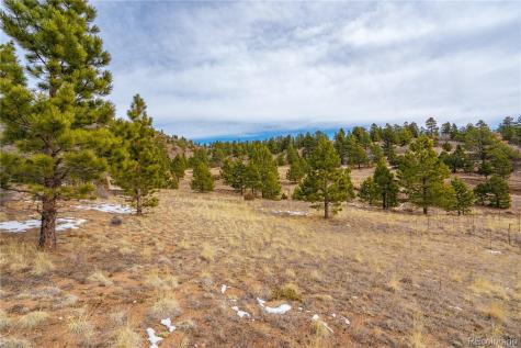 Lot 2 Spruce Mountain Road Cotopaxi CO 81223