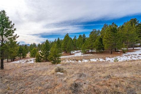 Lot 2 Spruce Mountain Road Cotopaxi CO 81223