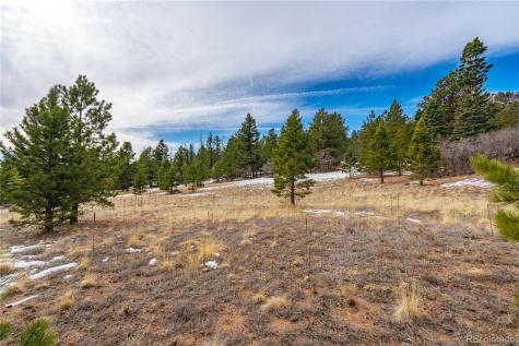 Lot 2 Spruce Mountain Road Cotopaxi CO 81223