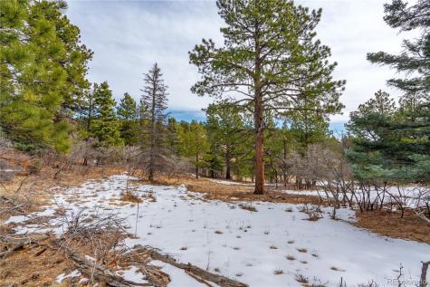 Lot 2 Spruce Mountain Road Cotopaxi CO 81223