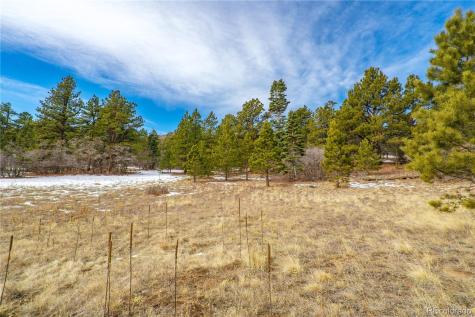 Lot 2 Spruce Mountain Road Cotopaxi CO 81223