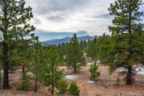 Lot 2 Spruce Mountain Road Cotopaxi CO 81223
