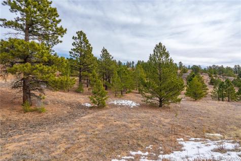 Lot 2 Spruce Mountain Road Cotopaxi CO 81223