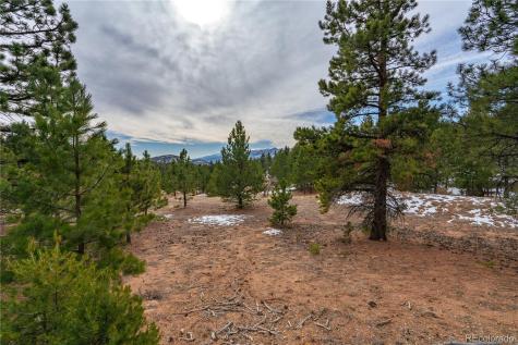 Lot 2 Spruce Mountain Road Cotopaxi CO 81223
