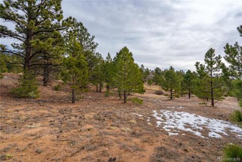 Lot 2 Spruce Mountain Road Cotopaxi CO 81223