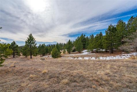 Lot 2 Spruce Mountain Road Cotopaxi CO 81223