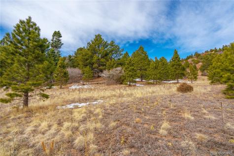 Lot 2 Spruce Mountain Road Cotopaxi CO 81223
