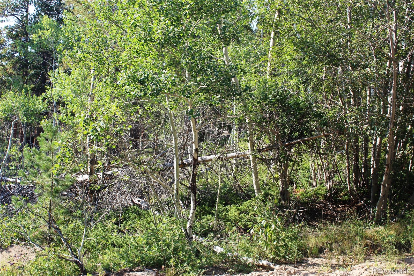 Lot 028 Sunflower Lane Black Hawk CO 80422