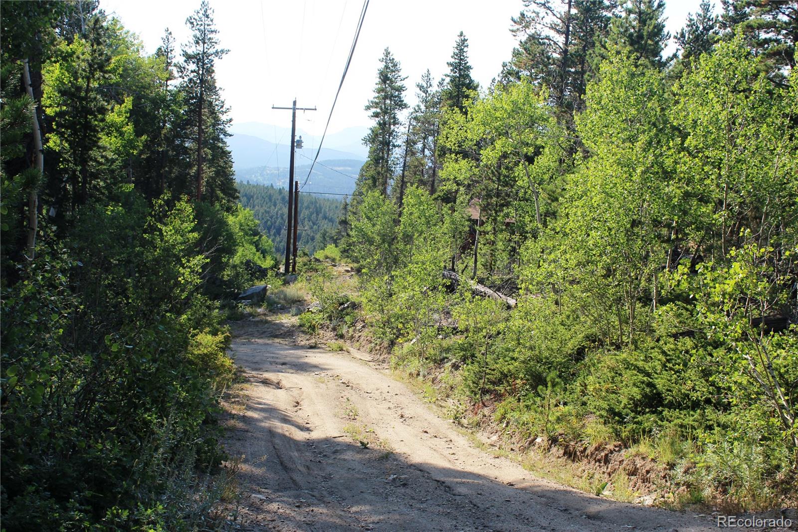 Lot 028 Sunflower Lane Black Hawk CO 80422