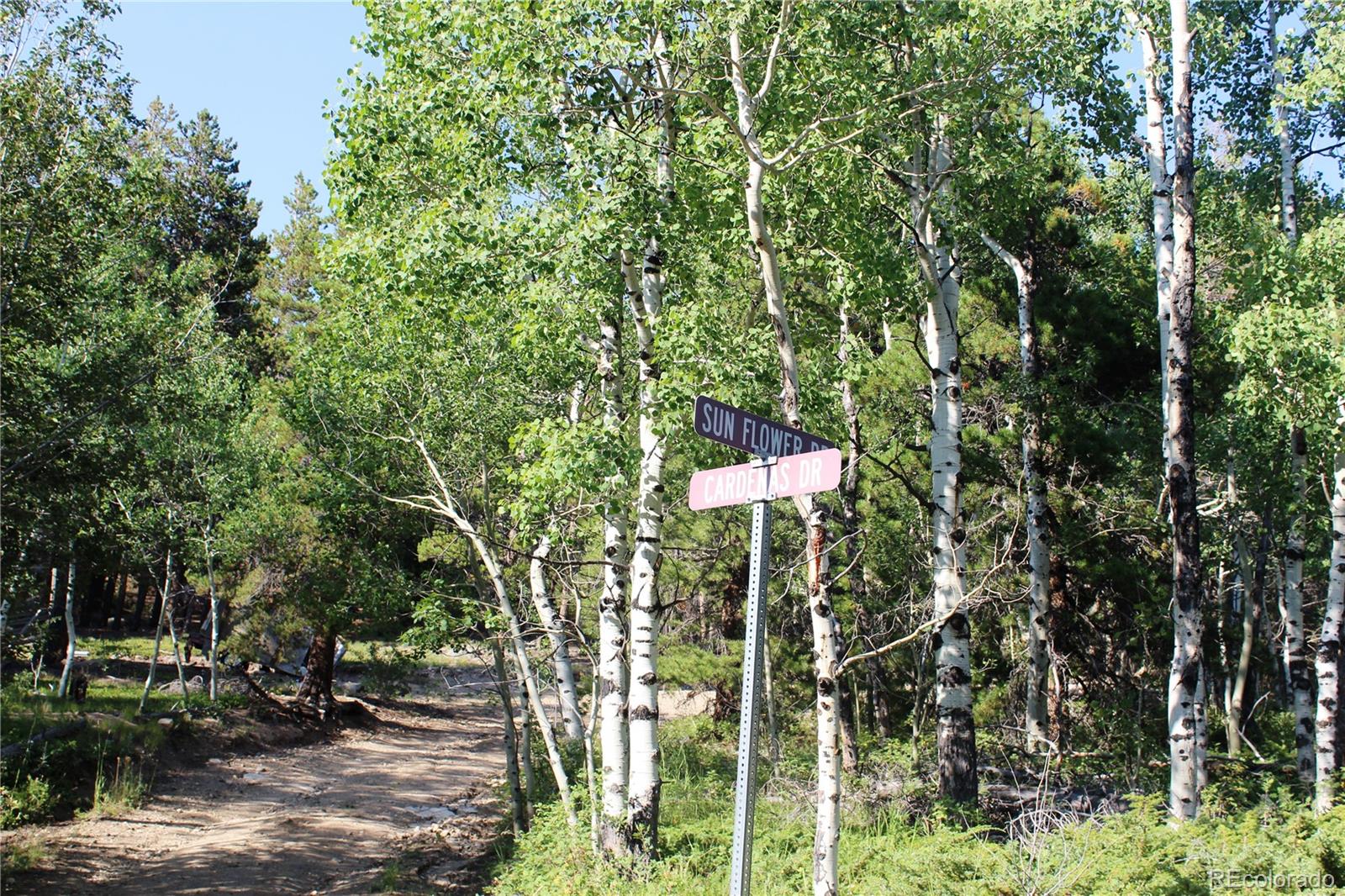 Lot 028 Sunflower Lane Black Hawk CO 80422