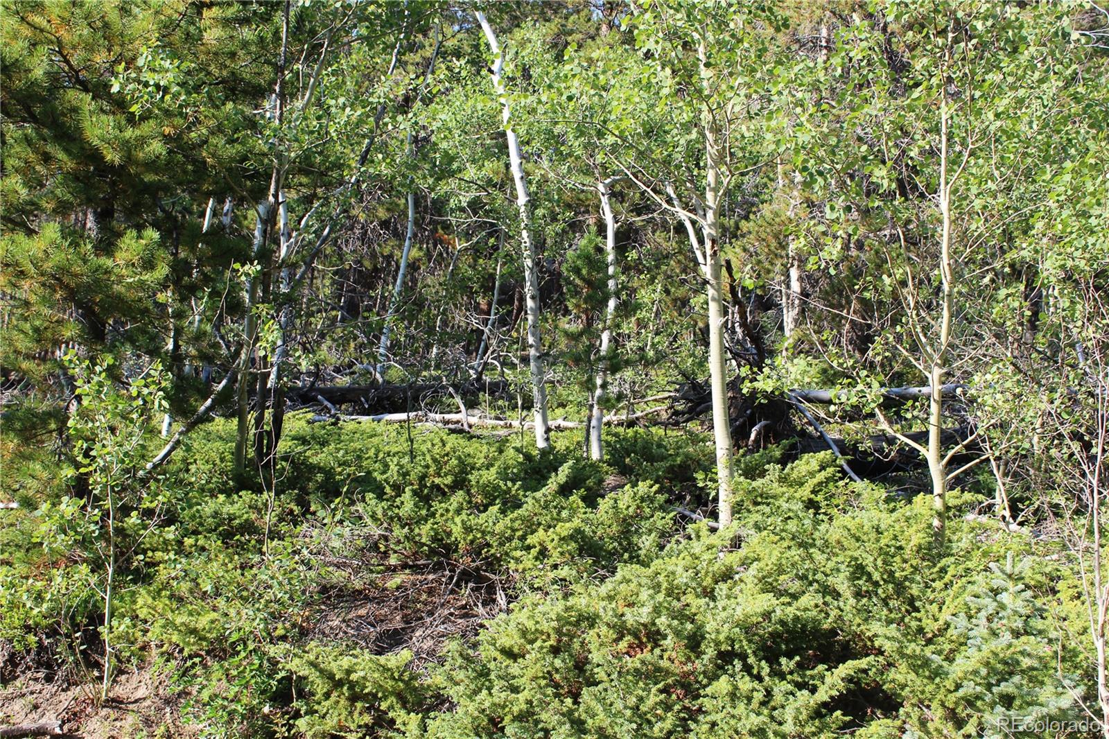Lot 028 Sunflower Lane Black Hawk CO 80422
