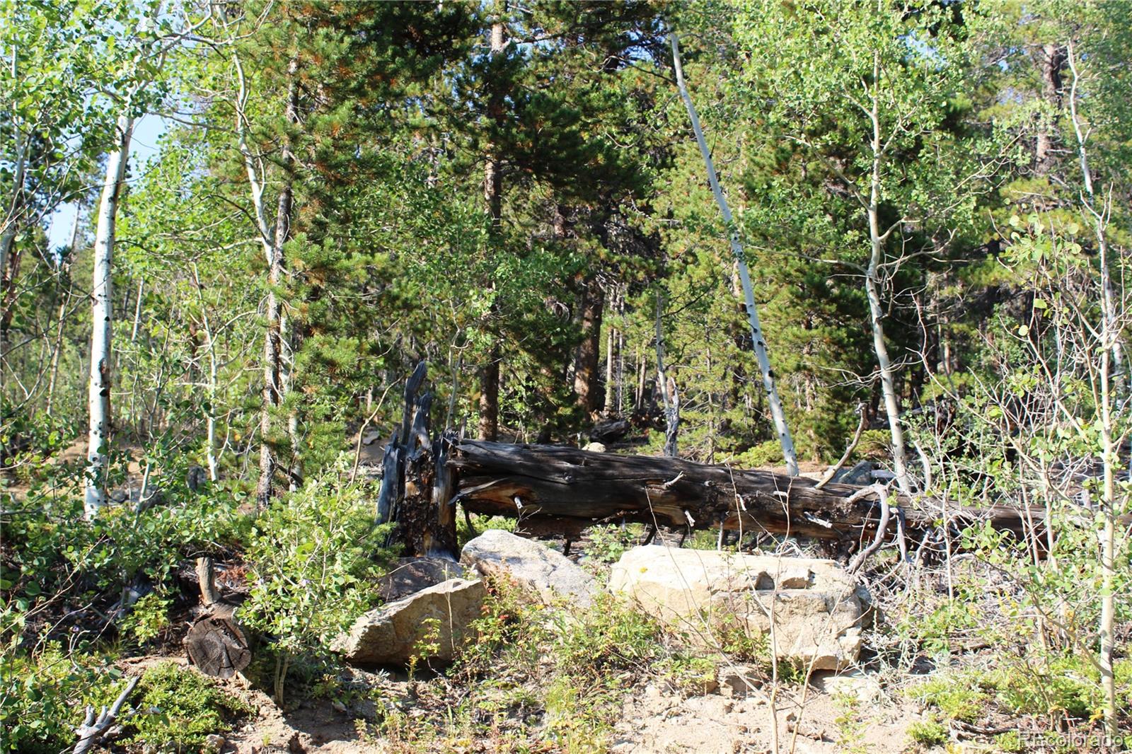 Lot 028 Sunflower Lane Black Hawk CO 80422