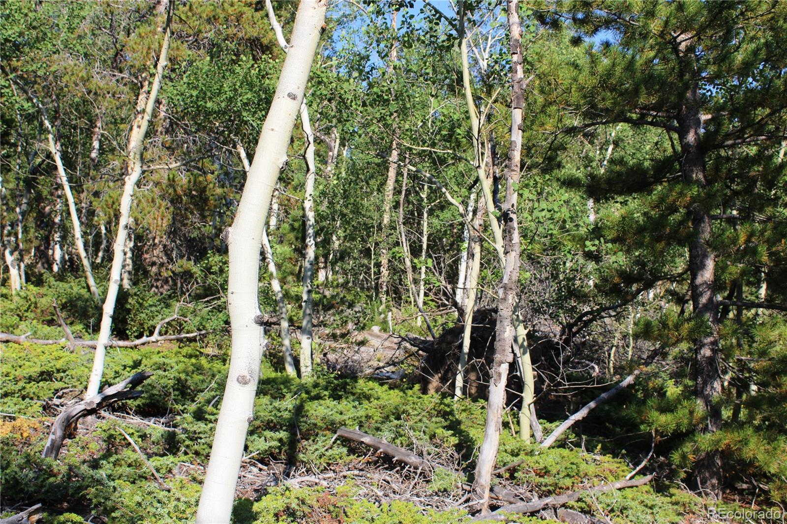 Lot 028 Sunflower Lane Black Hawk CO 80422